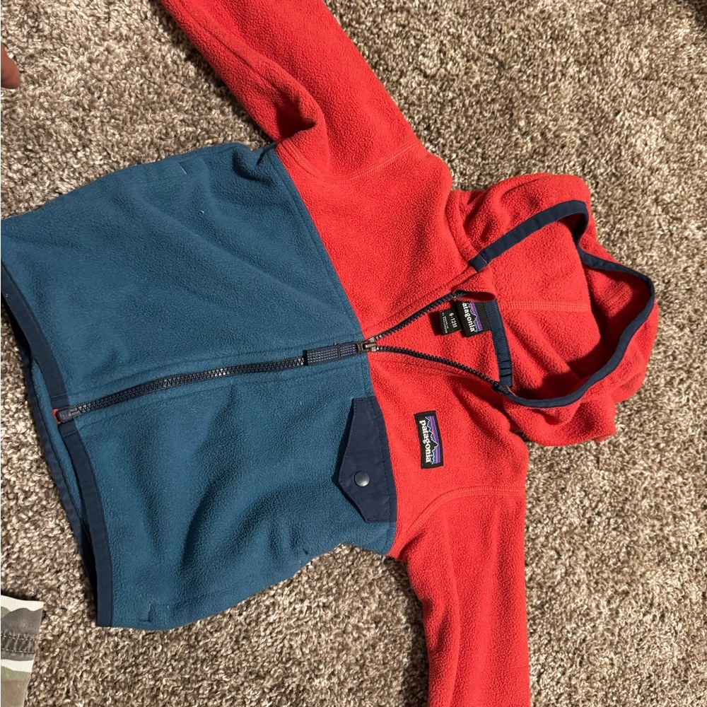 Patagonia Kids Two-Tone Fleece Hoodie